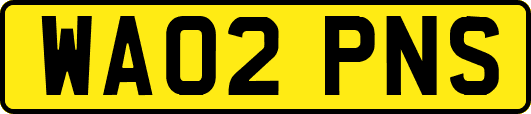 WA02PNS
