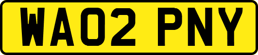 WA02PNY
