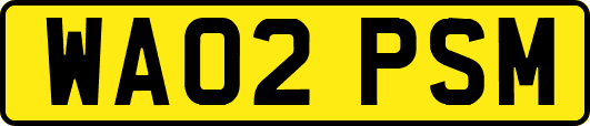 WA02PSM