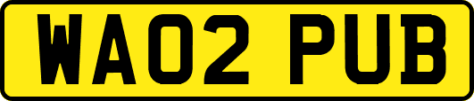 WA02PUB