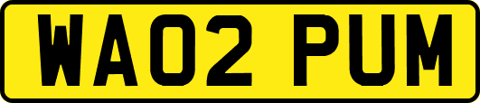 WA02PUM