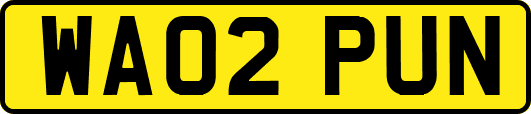WA02PUN