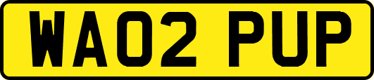WA02PUP