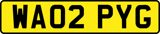 WA02PYG