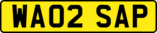 WA02SAP