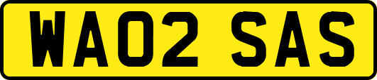 WA02SAS