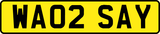 WA02SAY