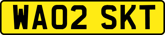 WA02SKT