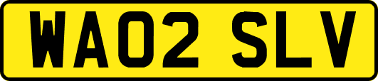WA02SLV