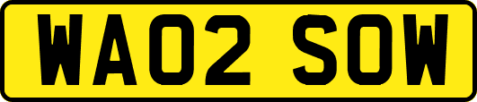 WA02SOW