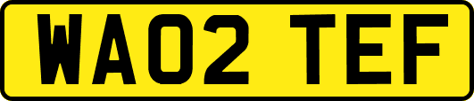 WA02TEF