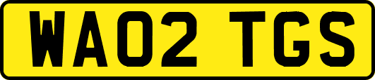 WA02TGS