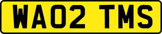 WA02TMS