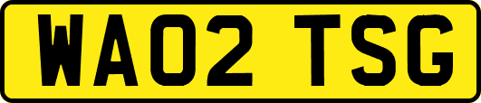 WA02TSG