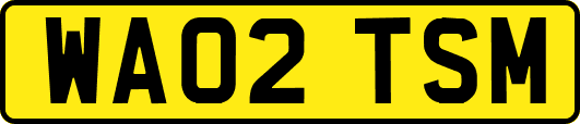 WA02TSM