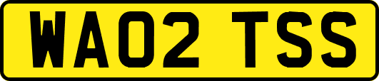 WA02TSS