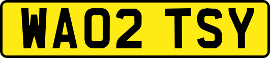 WA02TSY
