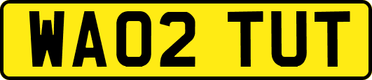 WA02TUT