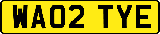 WA02TYE