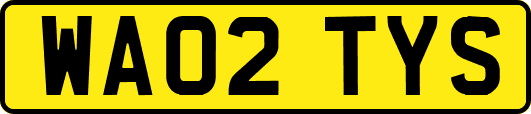 WA02TYS