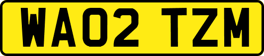 WA02TZM