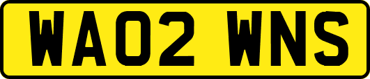 WA02WNS