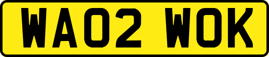 WA02WOK