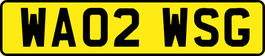 WA02WSG
