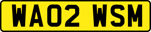 WA02WSM