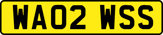 WA02WSS