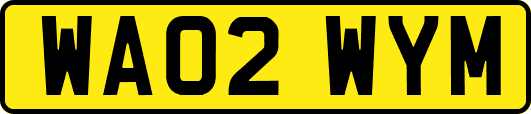 WA02WYM