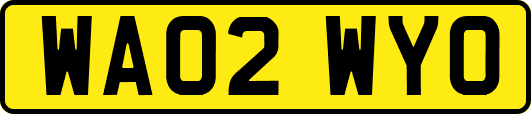 WA02WYO