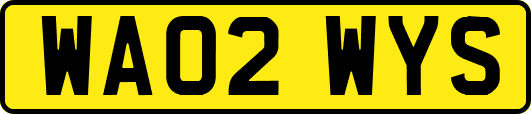 WA02WYS