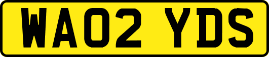 WA02YDS