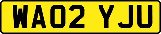 WA02YJU