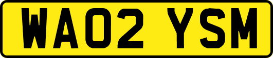 WA02YSM