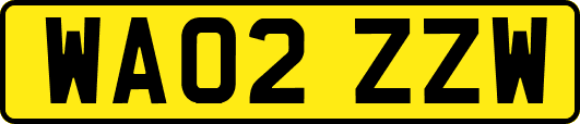 WA02ZZW
