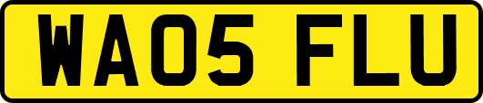 WA05FLU