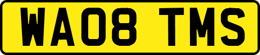 WA08TMS