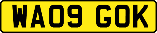 WA09GOK