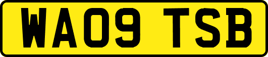 WA09TSB