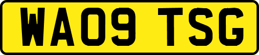 WA09TSG