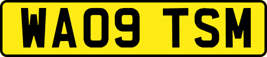 WA09TSM