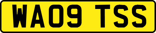 WA09TSS