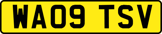 WA09TSV
