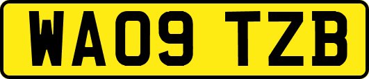 WA09TZB