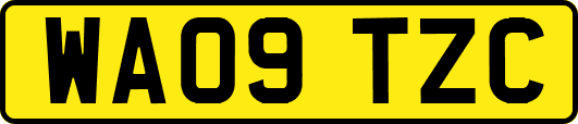 WA09TZC