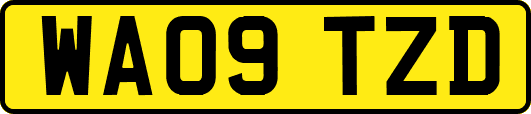 WA09TZD