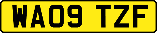 WA09TZF