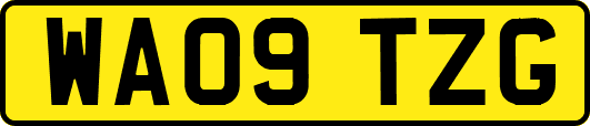 WA09TZG